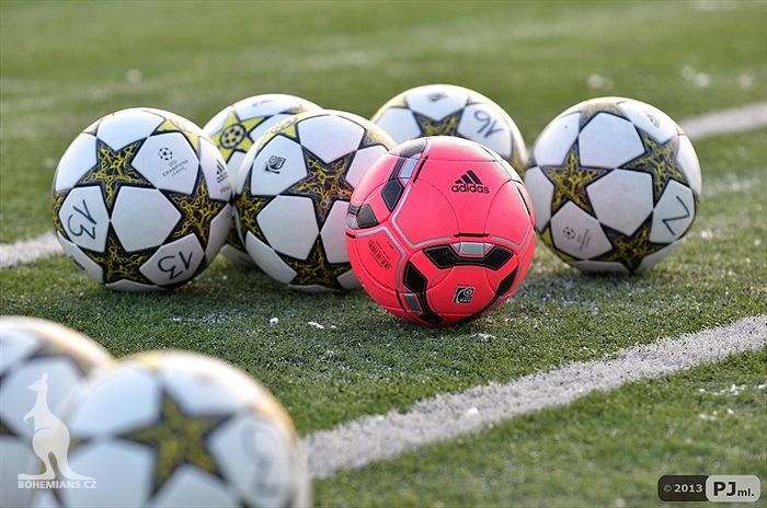 Klokani dnes trénovali na Šeberově