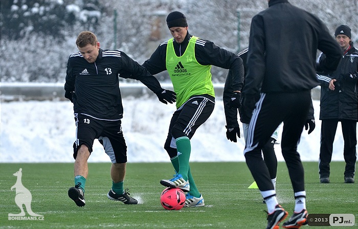 Klokani dnes trénovali na Šeberově