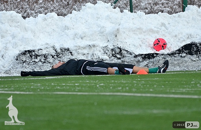Klokani dnes trénovali na Šeberově