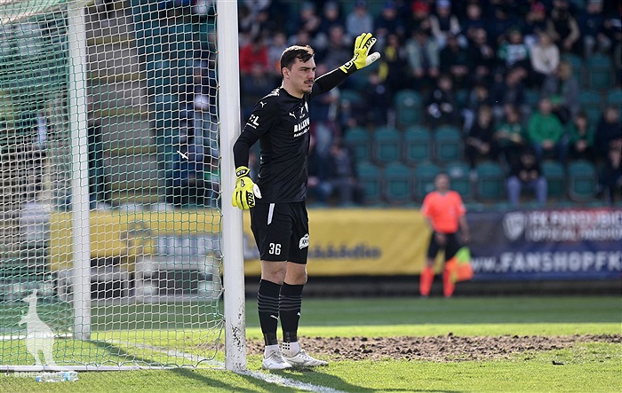 Bohemians - Mladá Boleslav 4:0 (1:0)