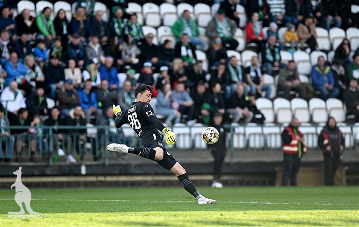 Bohemians - Mladá Boleslav 4:0 (1:0)