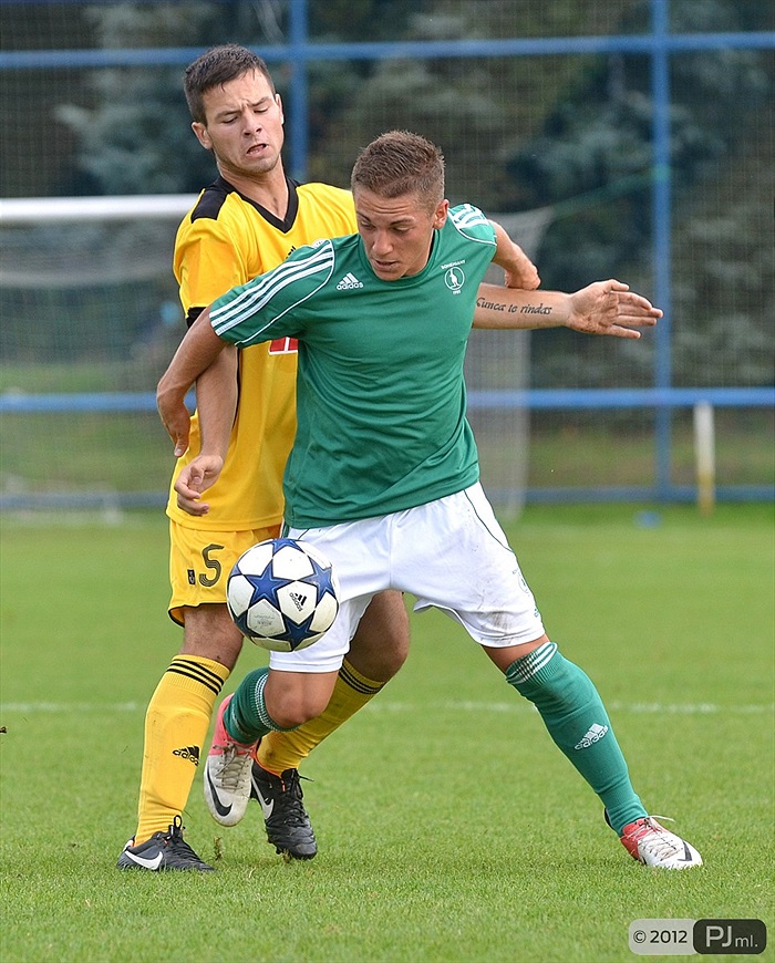 Bohemians 1905 - SK Dynamo Ceské Budějovice 2:3 (1:1)