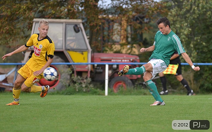 Bohemians 1905 - SK Dynamo Ceské Budějovice 2:3 (1:1)