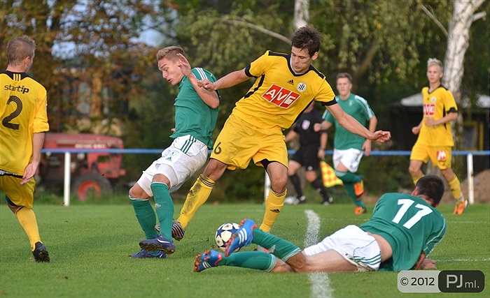 Bohemians 1905 - SK Dynamo Ceské Budějovice 2:3 (1:1)