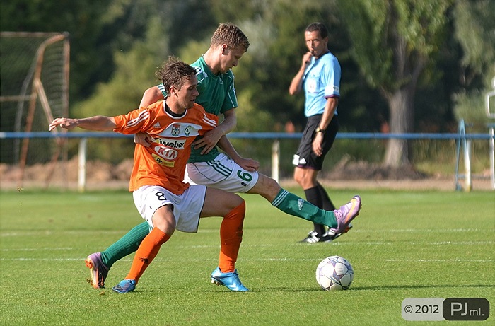 Bohemians 1905 - 1. FK Příbram 1:1 (1:1)