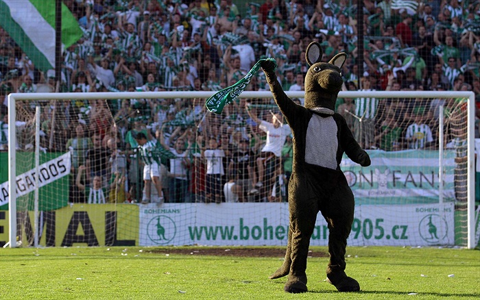 Klokan bouří před kotlem.