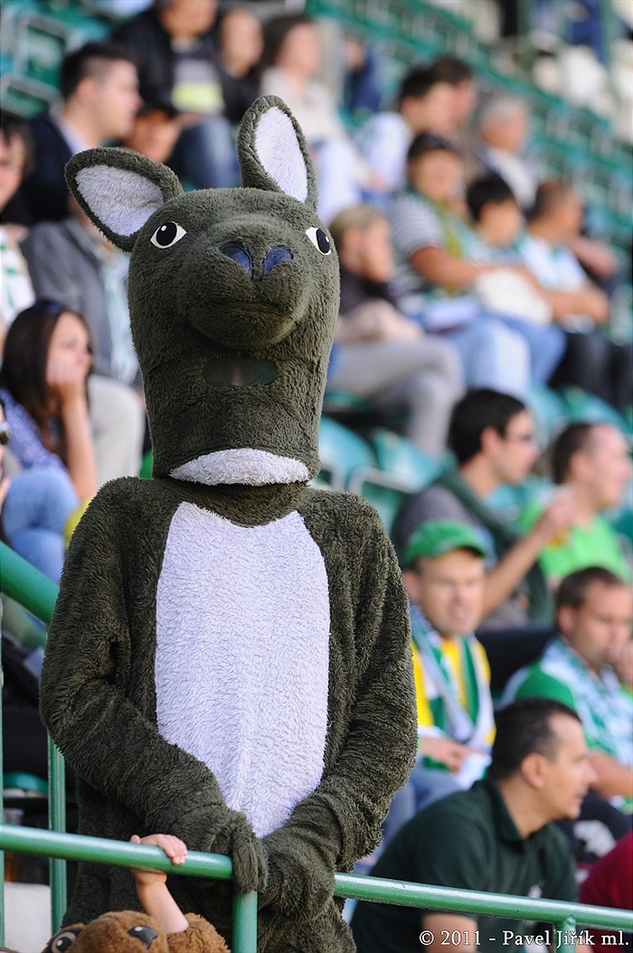 Bohemians 1905 - Baník Sokolov 1:1