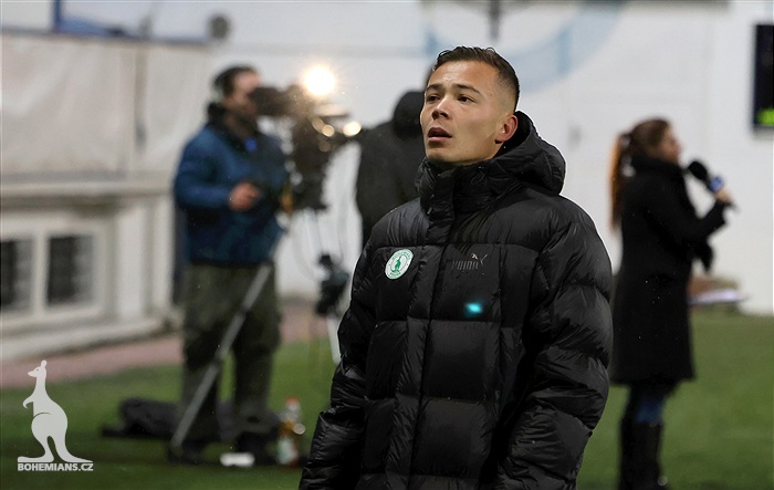 Teplice - Bohemians 1:1 (1:0)