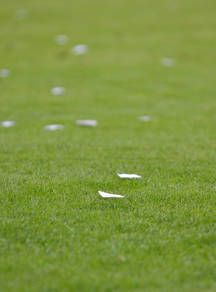 Bohemians Praha 1905 - 1. HFK Olomouc 5:1 (3:0)
