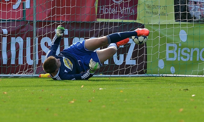 Bohemians Praha 1905 - SK Sigma Olomouc 1:1 (1:0)