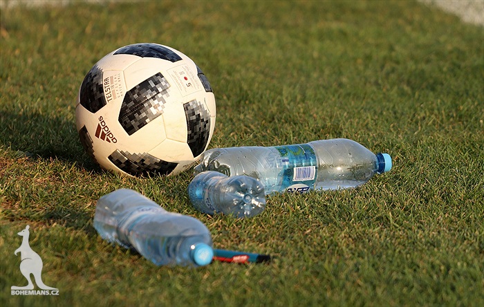 FK Dobrovice - Bohemians Praha 1905 0:3 (0:2)