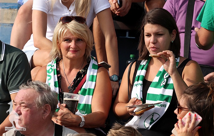 FK Dobrovice - Bohemians Praha 1905 0:3 (0:2)