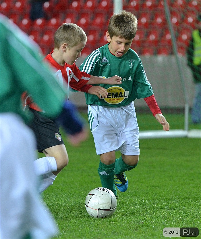 Bohemians 1905 - FK Viktoria Žižkov 1:2 (1:0)