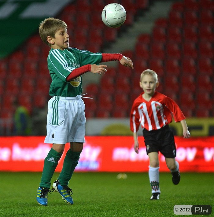 Bohemians 1905 - FK Viktoria Žižkov 1:2 (1:0)