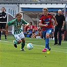 FC Viktoria Plzeň - Bohemians Praha 1905 1:1 (1:1)