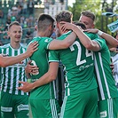 Bohemians - Karviná 4:0 (2:0)