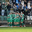 Bohemians - Mladá Boleslav 4:0 (1:0)