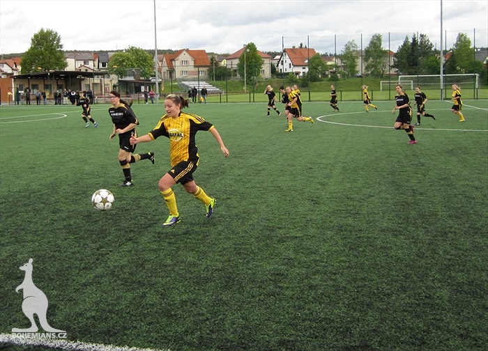 TJ ZKZ Horní Bříza - DFK Bohemians 1905 1:3 (1:2)