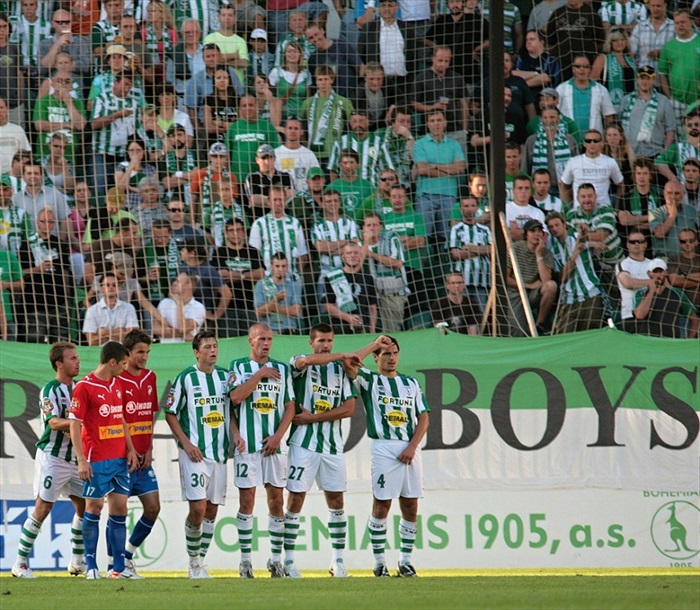 Zelenobílé zástupy...