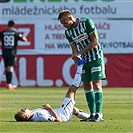 Hradec Králové - Bohemians 1:1 (1:0)