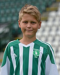 David Šebek