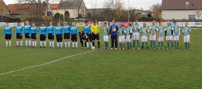 DFK Bohemians 1905 - TJ Sokol Jindřichův Hradec 1:2 (0:2)