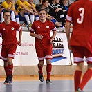 XXV. Memoriál dr. Václava Jíry