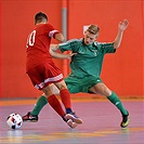 XXV. Memoriál dr. Václava Jíry