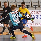 XXV. Memoriál dr. Václava Jíry