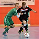 XXV. Memoriál dr. Václava Jíry