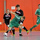 XXV. Memoriál dr. Václava Jíry