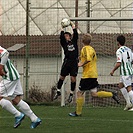 Bohemians 1905 - Hradec Králové 2:1 (1:0)