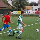 F. Houštecký se rozhlíží komu přihrát