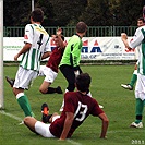 Bohemians 1905 - Sparta Praha 1:2 (1:1)