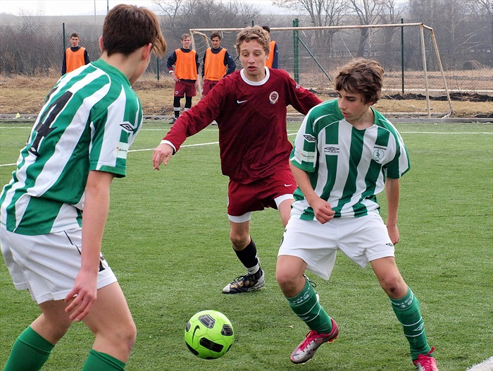 J. Šetina ve spolupráci s D. Perglem (14)