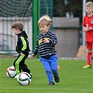 Nábor v Ďolíčku - podzim 2015