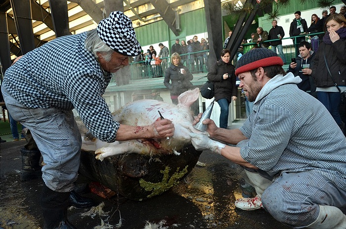 Vršovické posvícení v Ďolíčku