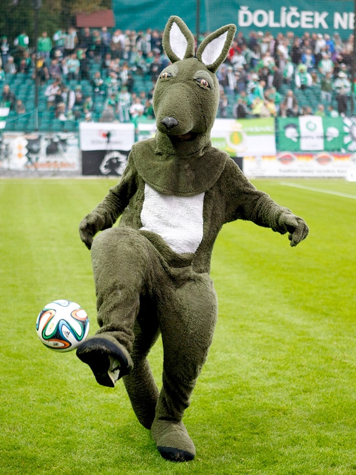 Bohemians Praha 1905 - SK Dynamo České Budějovice 3:0 (0:0) 