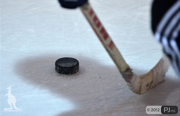 Hokejovou odvětu vyhráli mladí 9:6 - 2012