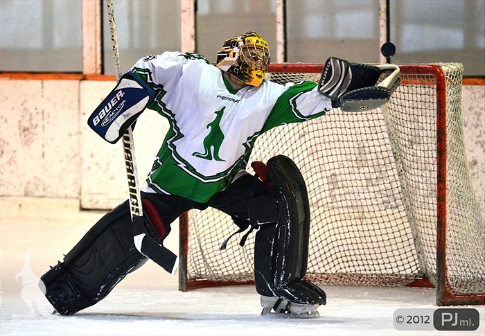 Hokejovou odvětu vyhráli mladí 9:6 - 2012