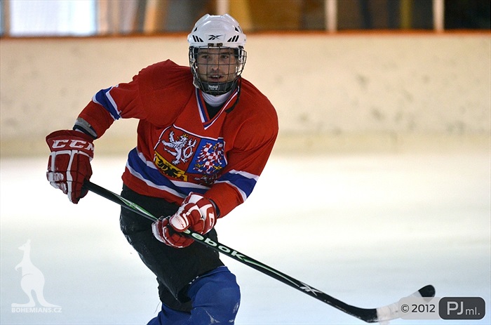 Hokejovou odvětu vyhráli mladí 9:6 - 2012