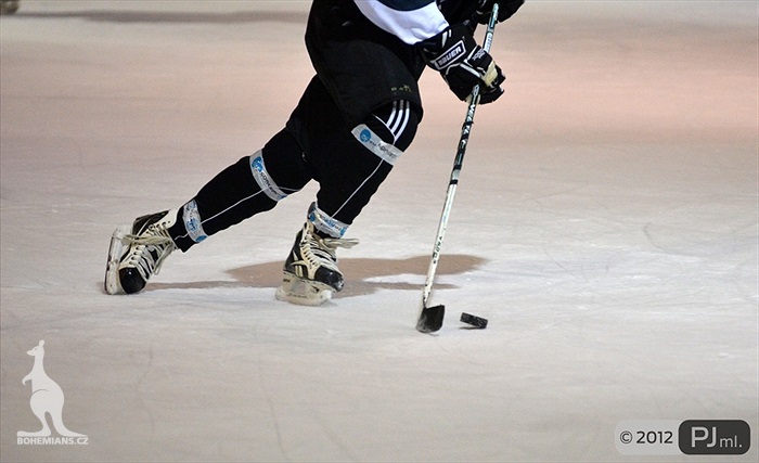 Hokejovou odvětu vyhráli mladí 9:6 - 2012