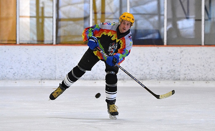 Hokej 2015: Černá - Bílá 7:6