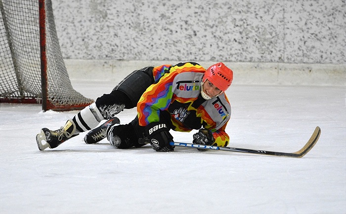 Hokej 2015: Černá - Bílá 7:6