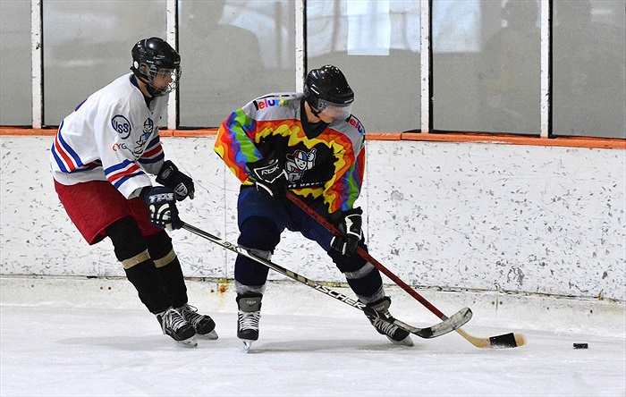 Hokej 2015: Černá - Bílá 7:6