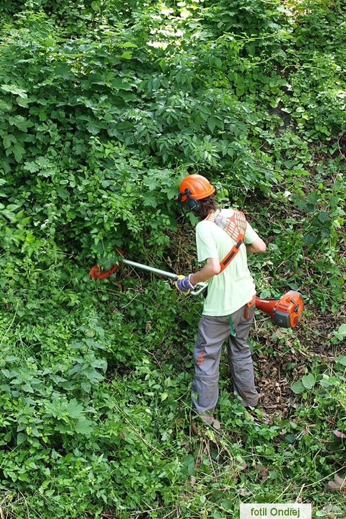 Ďolíček - velká brigáda 9. 6. 2012