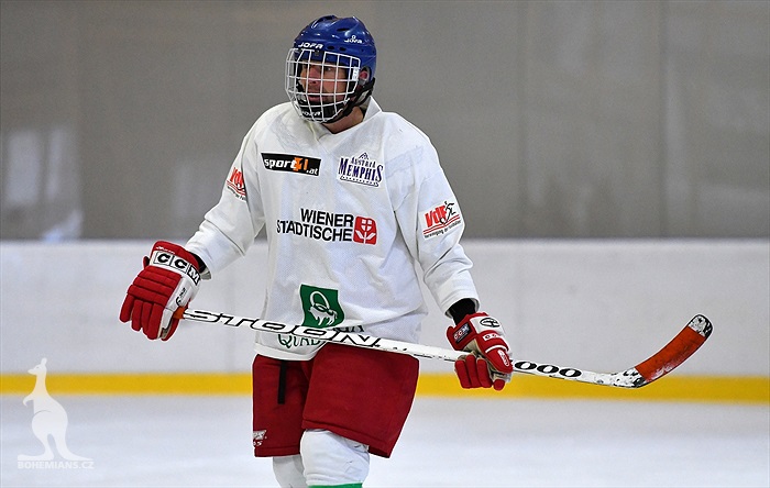 Klokani po roce opět na ledě