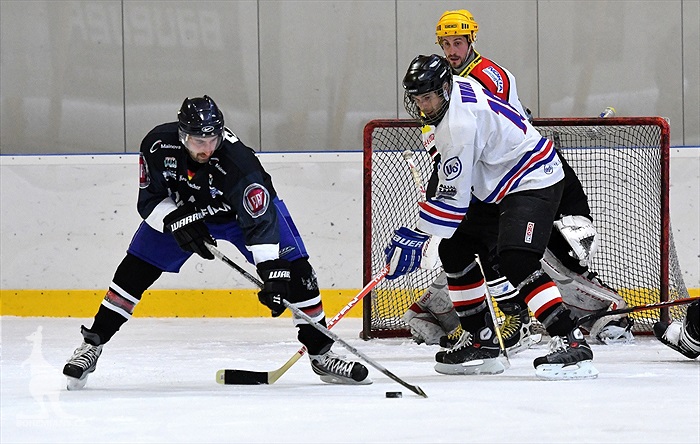 Klokani po roce opět na ledě