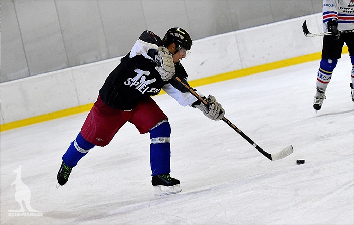 Klokani po roce opět na ledě