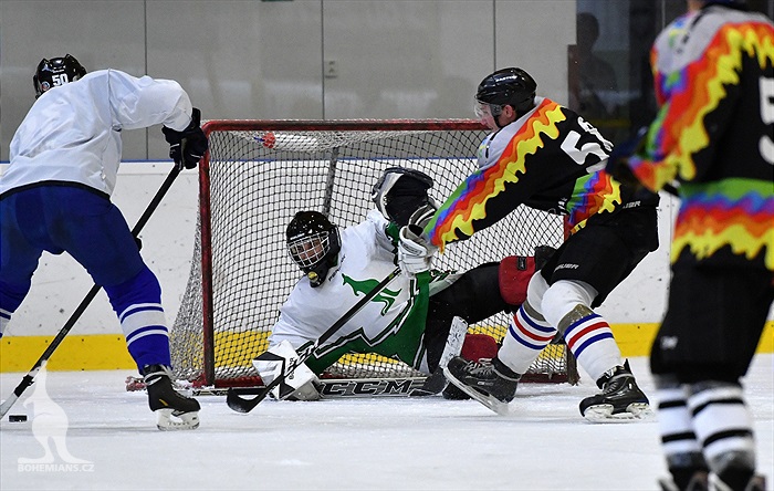 Klokani po roce opět na ledě